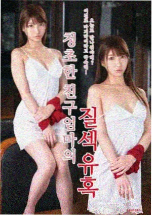 白昼回声 剧集封面